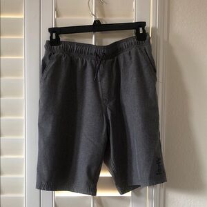 Levi's Kids Gray Shorts